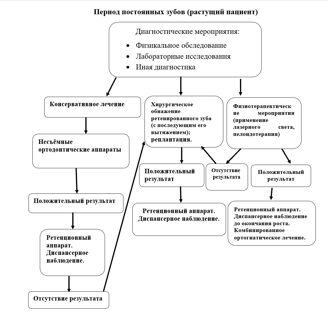 Б2-2 ПостЗубы Растущий